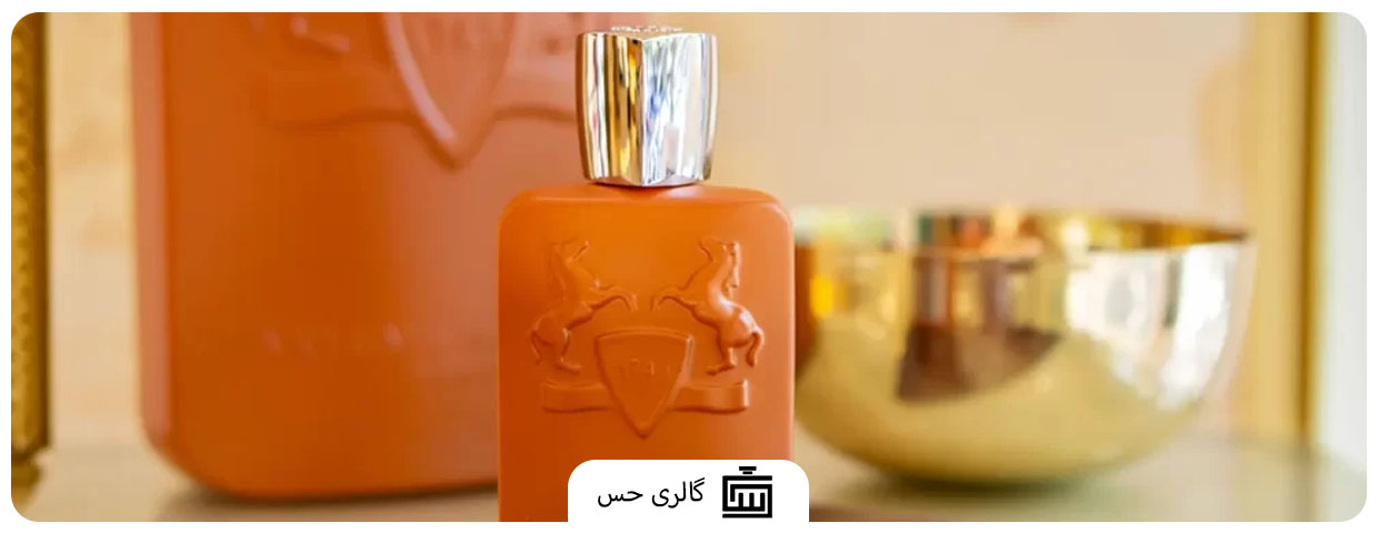 شخصیت شما چه می‌گوید؟